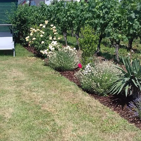 Ketter Wein & Urlaub *