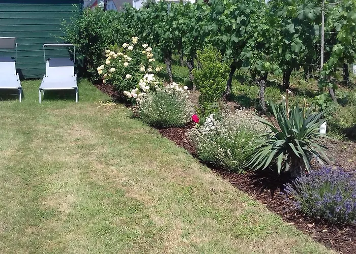 Ketter Wein & Urlaub *